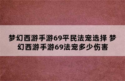 梦幻西游手游69平民法宠选择 梦幻西游手游69法宠多少伤害